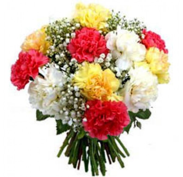 Bunch of Mixed Carnations